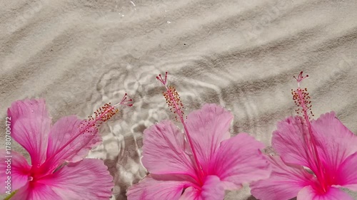 Delicate pink hibiscus surrounded by crystal clear water, white sand enhancing scenery, slow motion droplets fall and create rippling effects gracefully