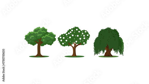 Diverse Trees in Nature's Showcase: Three distinct tree illustrations stand as symbols of life, showcasing the unique beauty of nature's botanical variety. 