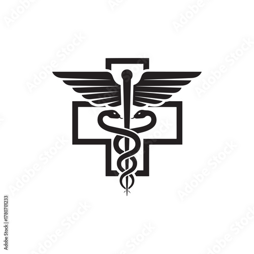 cacudeus hospital shilhuette icon