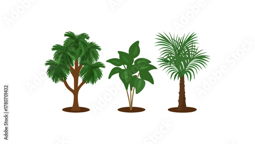 Collection of Foliage: A curated arrangement of diverse plant species, displaying lush greenery and intricate leaf structures, perfect for botanical themes.