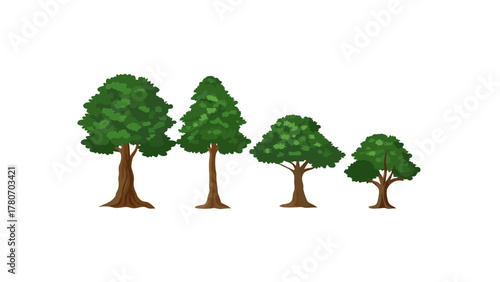 Harmony of Four Trees: A harmonious quartet of trees stands in a row, each exhibiting unique features, celebrating the biodiversity of a natural ecosystem.