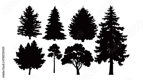 Bild auf Leinwand Silhouette of Trees:  A collection of varied tree silhouettes, set against a pristine backdrop, showcases nature's diverse forms in a stunning monochromatic study