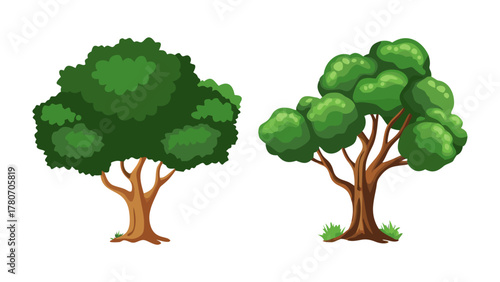 Botanical Beauty: Two trees stand side by side, showcasing their individual arboreal charms, their lush green foliage a testament to nature's vibrant artistry.
