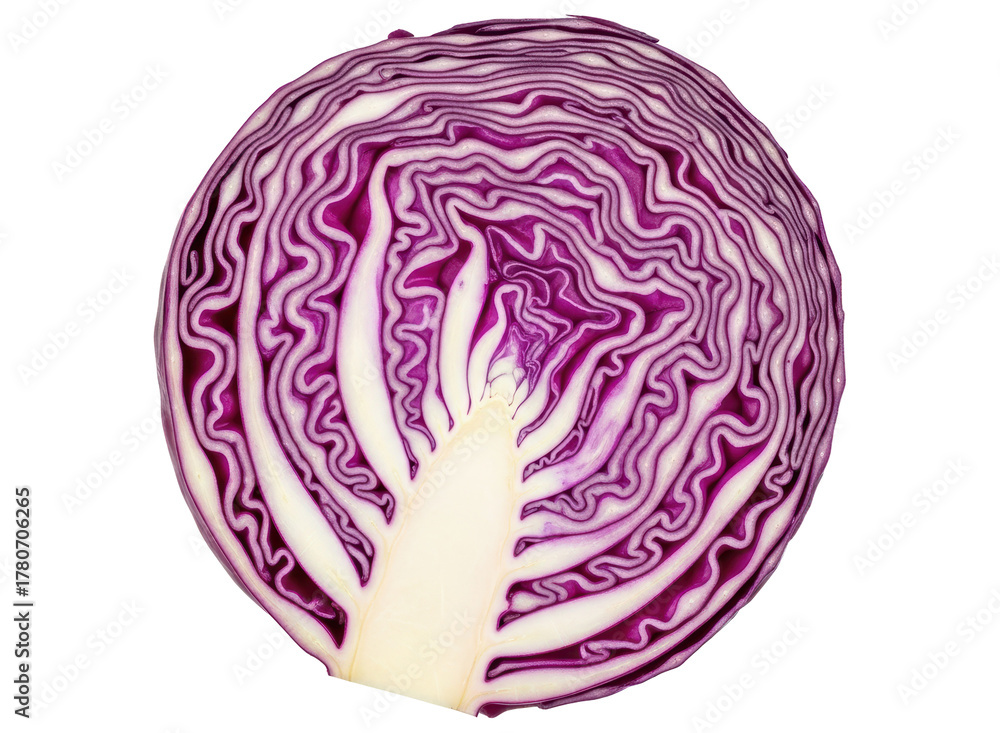 Obraz premium Vibrant cross section of fresh red cabbage showcasing its beautiful layered structure