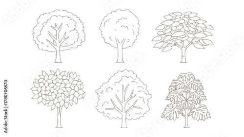 Various Tree Types Line Art: Showcase a collection of diverse tree illustrations in a clean, minimalist line art style, perfect for illustrating landscape elements.