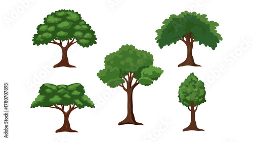 Various Tree Collection: A collection of meticulously crafted tree illustrations, showcasing a diverse array of arboreal forms, each exuding its own unique charm and visual appeal.