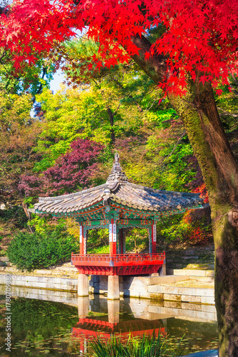 Beautiful autumn view of Changdeokgung Palace
A waterside pavilion located in the secret garden of Changdeokgung Palace during autumn in Seoul, South Korea.