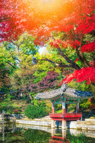 Beautiful autumn view of Changdeokgung Palace
A waterside pavilion located in the secret garden of Changdeokgung Palace during autumn in Seoul, South Korea.