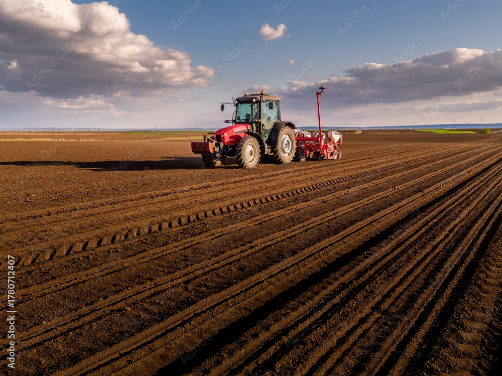 Fototapeta premium Red tractor planting seeds in fertile field