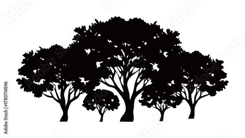 Silhouette of Trees in Nature: A stunning silhouette captures the beauty of multiple trees, their intricate branches reaching towards the sky, set against a background.
