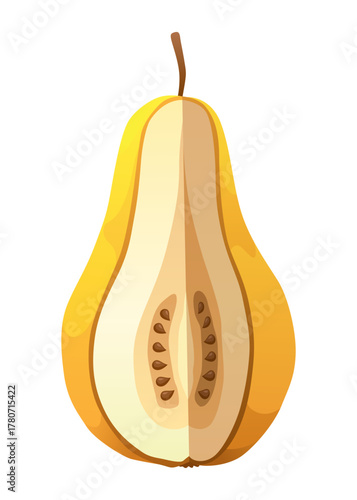 Yellow pear food cut half, piece, part and slice chopped of fruit. Harvest ripe fruit. Popular healthy garden food pear. Vector flat illustration