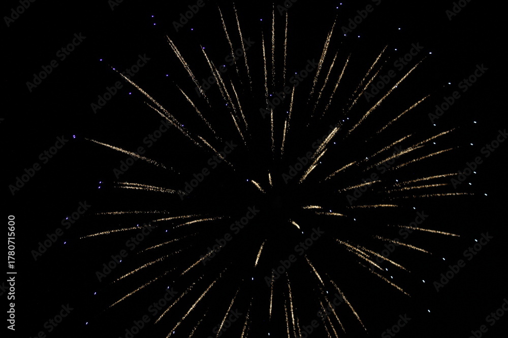 Fototapeta premium Fireworks at the riverbank in Japan