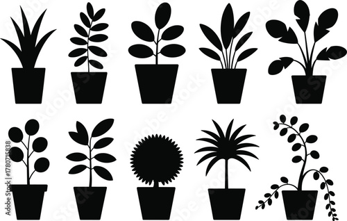 Ten black silhouette icons of various potted houseplants in simple pots Keywords: silhouette