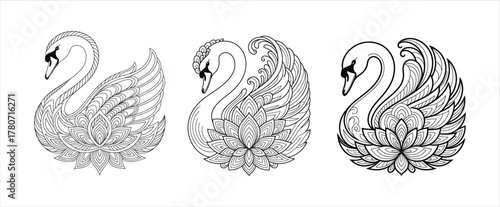 Elegant swan birds vector illustration set decorative ornamental aquatic waterfowl