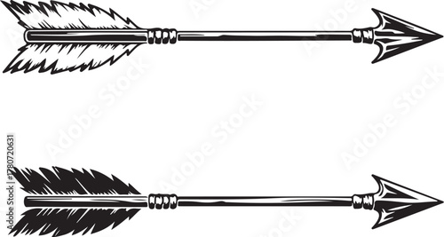 Two Black and White Arrows with Feathered Fletching