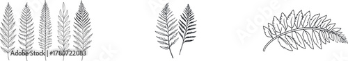 Fotografía A minimalist botanical garden scene featuring a fern leaf is illustrated through