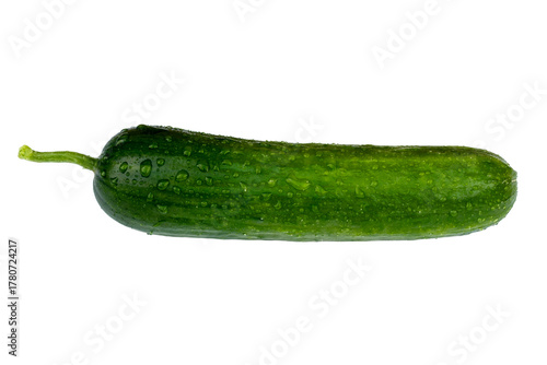 close up of green cucumber in white background with clipping path. 