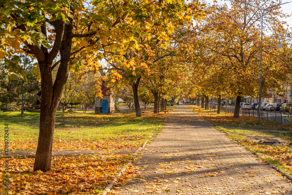 Fototapeta premium Ukraine, Odessa, November 6, 2025. Autumn park in the city center with yellow foliage.