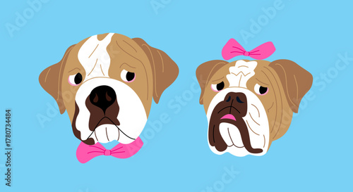 Vector illustration of cute faces of two English Bulldogs