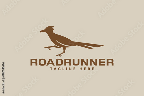 roadrunner bird logo vector icon illustration	
