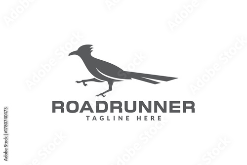 roadrunner bird logo vector icon illustration	