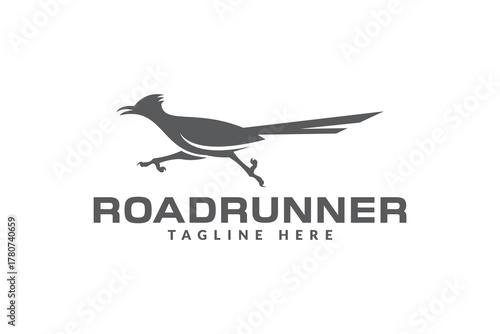 roadrunner bird logo vector icon illustration	