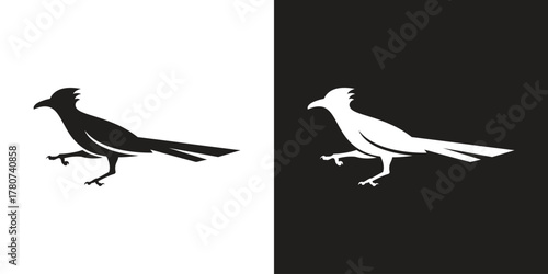 roadrunner bird logo vector icon illustration	