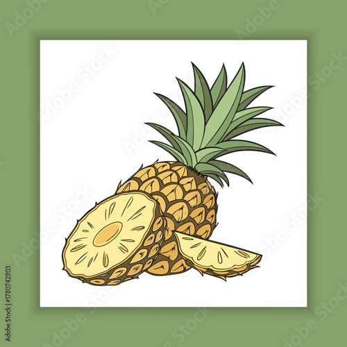 vector illustration of pineapple