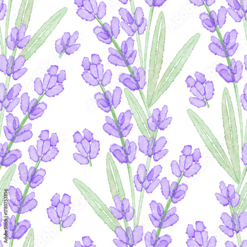 Watercolor seamless pattern with lavender flowers on a white background