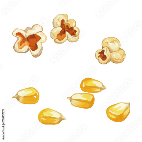 Vector watercolor vegetable / 水彩テイストのとうもろこし・ポップコーンイラスト