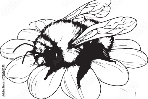 A striking black and white vector sketch of a hand drawn butterfly and flower illustration suitable for a tribal tattoo design