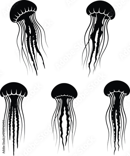 Five Black Jellyfish Silhouettes on White Background
