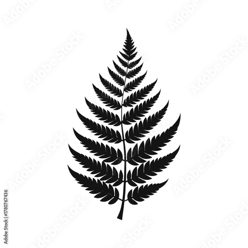 Black fern leaf silhouette isolated on white background