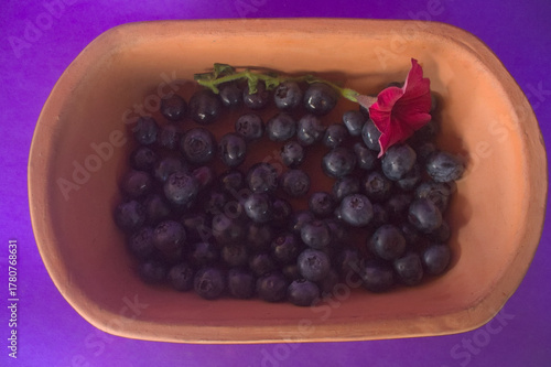 Purple Still Life with Blueberries