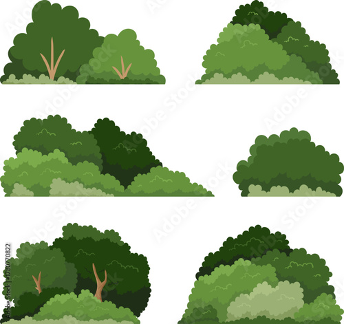 Collection of Green Bushes and Shrubs for Landscape Design