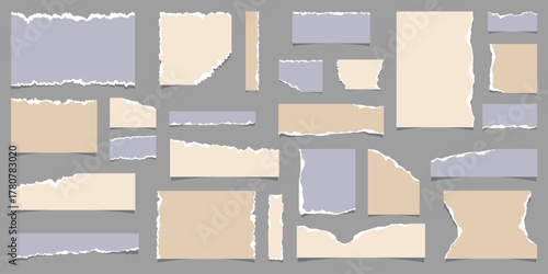 Torn paper. Strips of paper with ripped edges. Grunge style elements for scrapbooking, collages, and appliqués. Vector illustration.