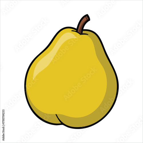 fresh quince fruit with fuzzy skin vector art isolated on white background