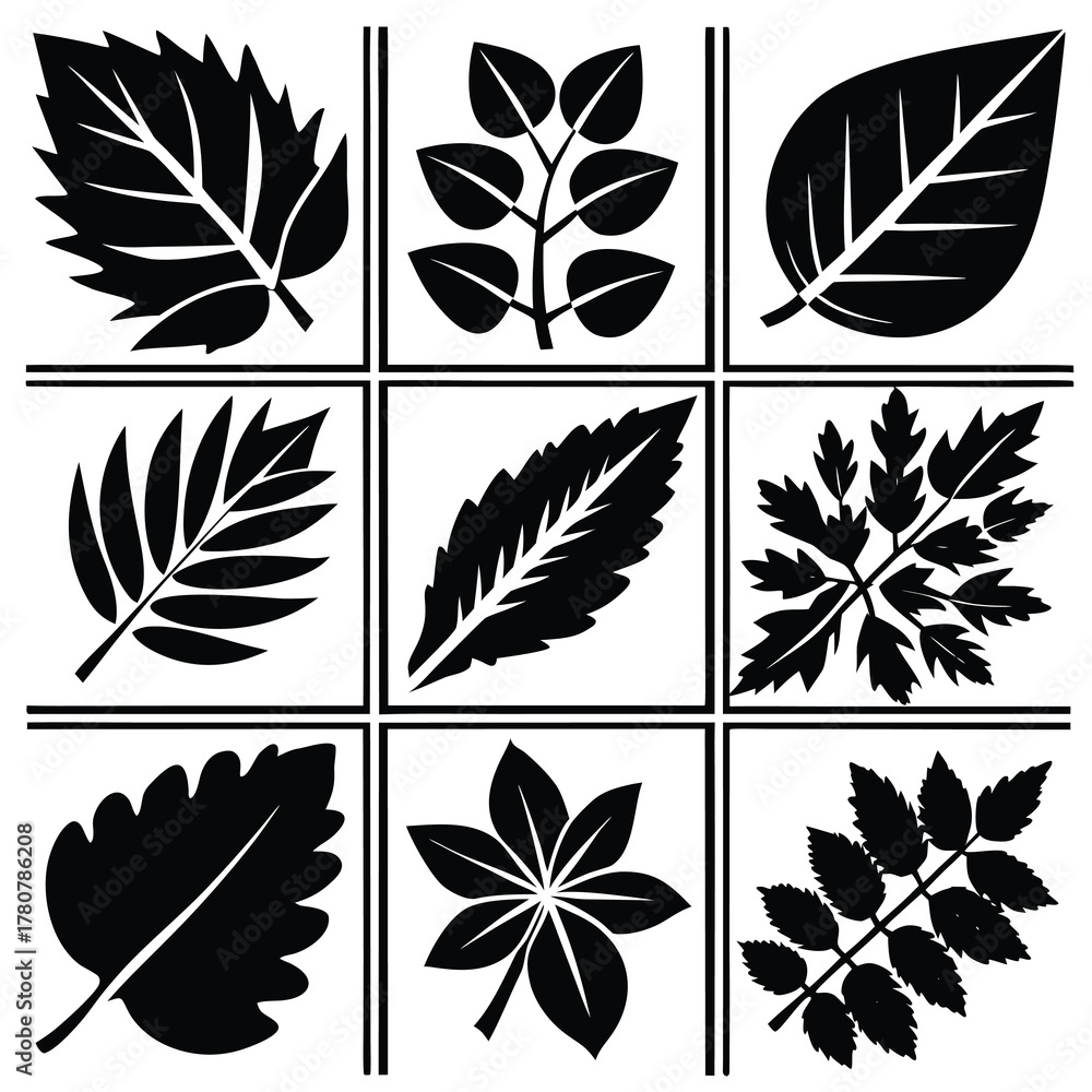 Fototapeta premium Set of vector leaf and feather icons for nature pattern design and autumn illustration