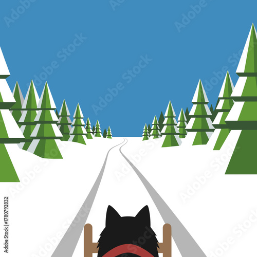 Sled dogs running through fresh powder snow with evergreen trees  