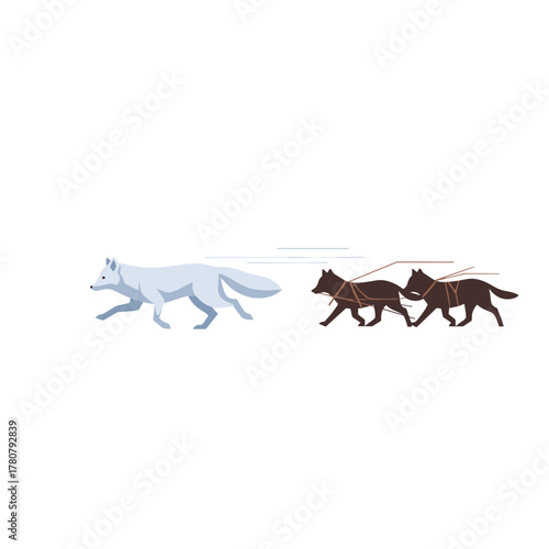 Wild Arctic fox running alongside sled dogs through powder snow  