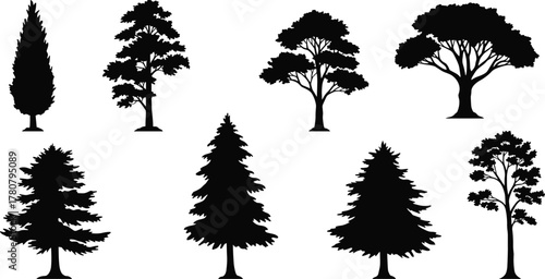 Collection of diverse tree silhouettes, black and white forest illustration, natural eco design elements, vector landscape art, isolated environment graphic