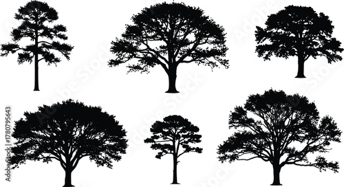Silhouette of various tree types, black and white forest illustration, natural landscape elements, eco vector design, isolated environmental nature artwork