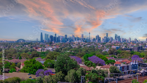 Canvas Print Panorama Drone Aerial view of Summer Hill Lewisham Ashfield of Suburban federati