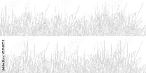 grass vector illustration. green grass isolated on white background. bamboo leaves isolated on white background.