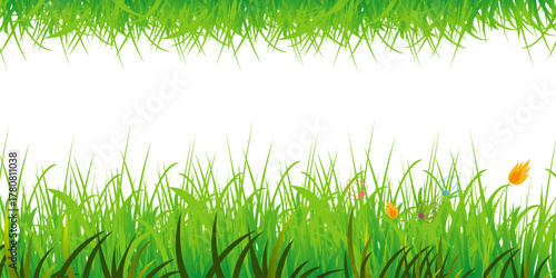 Green grass field vector illustration on white background. abstract herbal floor vector illustration. Park, yard, garden natural landscape decoration