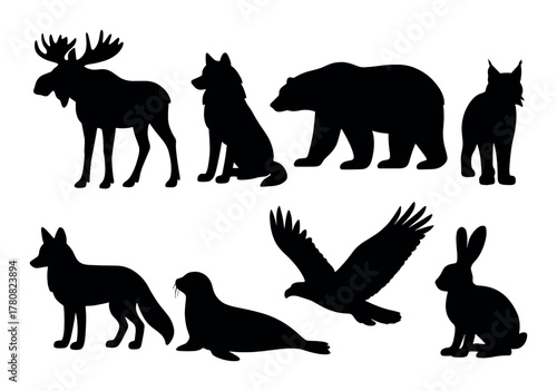 Silhouettes of north american wildlife against a dark background