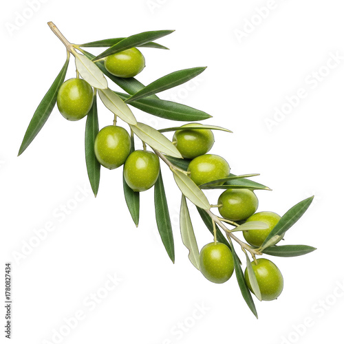 Wallpaper Mural Green olives on branch with leaves on black background leaf fruit Torontodigital.ca