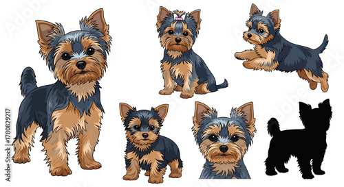 A collection of vector illustrations of a Yorkshire Terrier dog in various poses, including standing, sitting, running, and a silhouette.