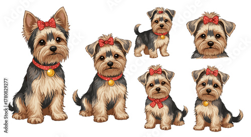 A collection of adorable Yorkshire Terrier puppies with red bows and collars in various poses, isolated on a white background.
