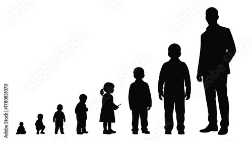 Human life stages silhouettes isolated on transparent background, Vector